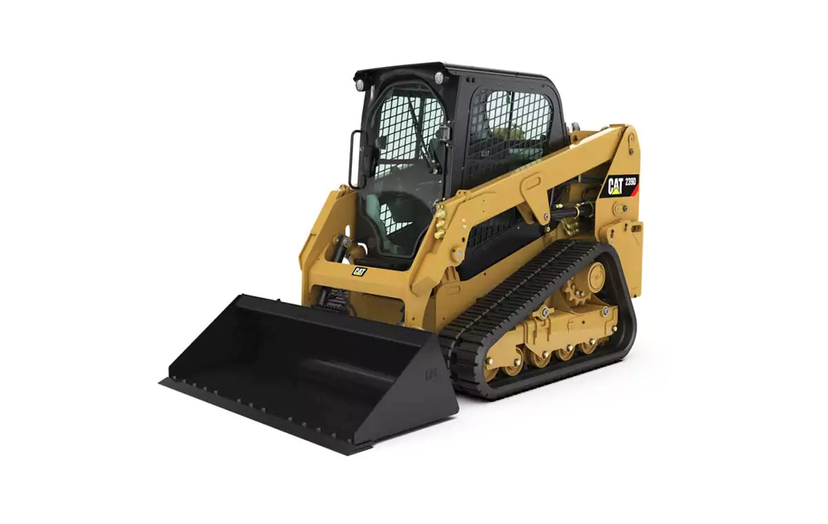 cat239