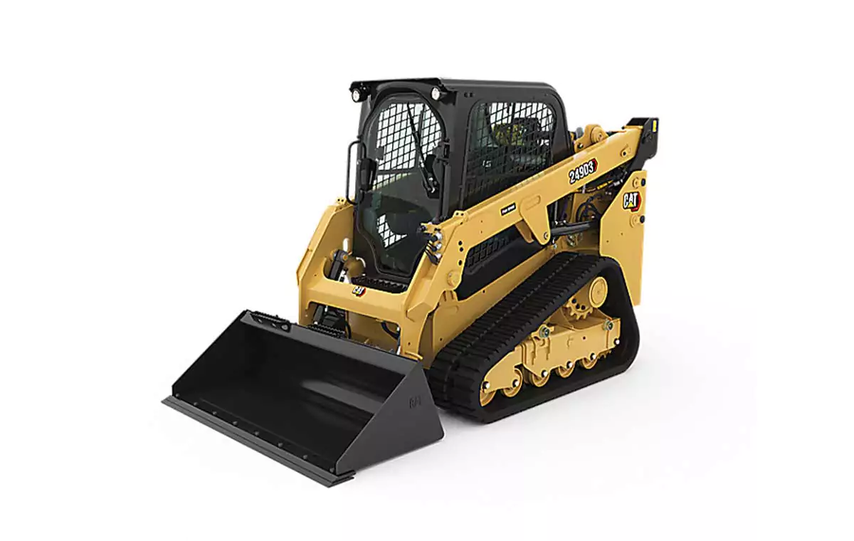 cat249