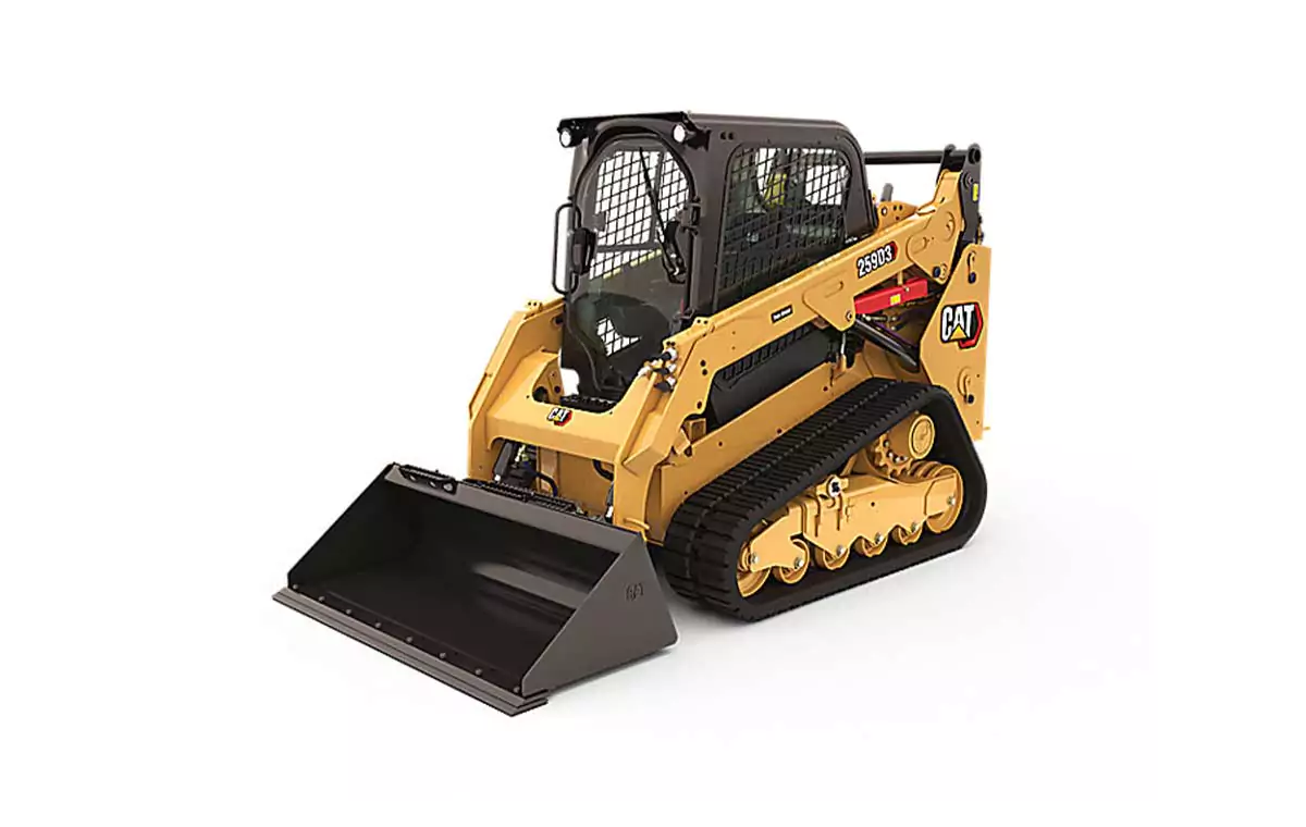 cat259